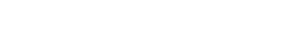 light logo